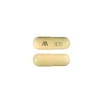 Amoxicillin - Amoxil